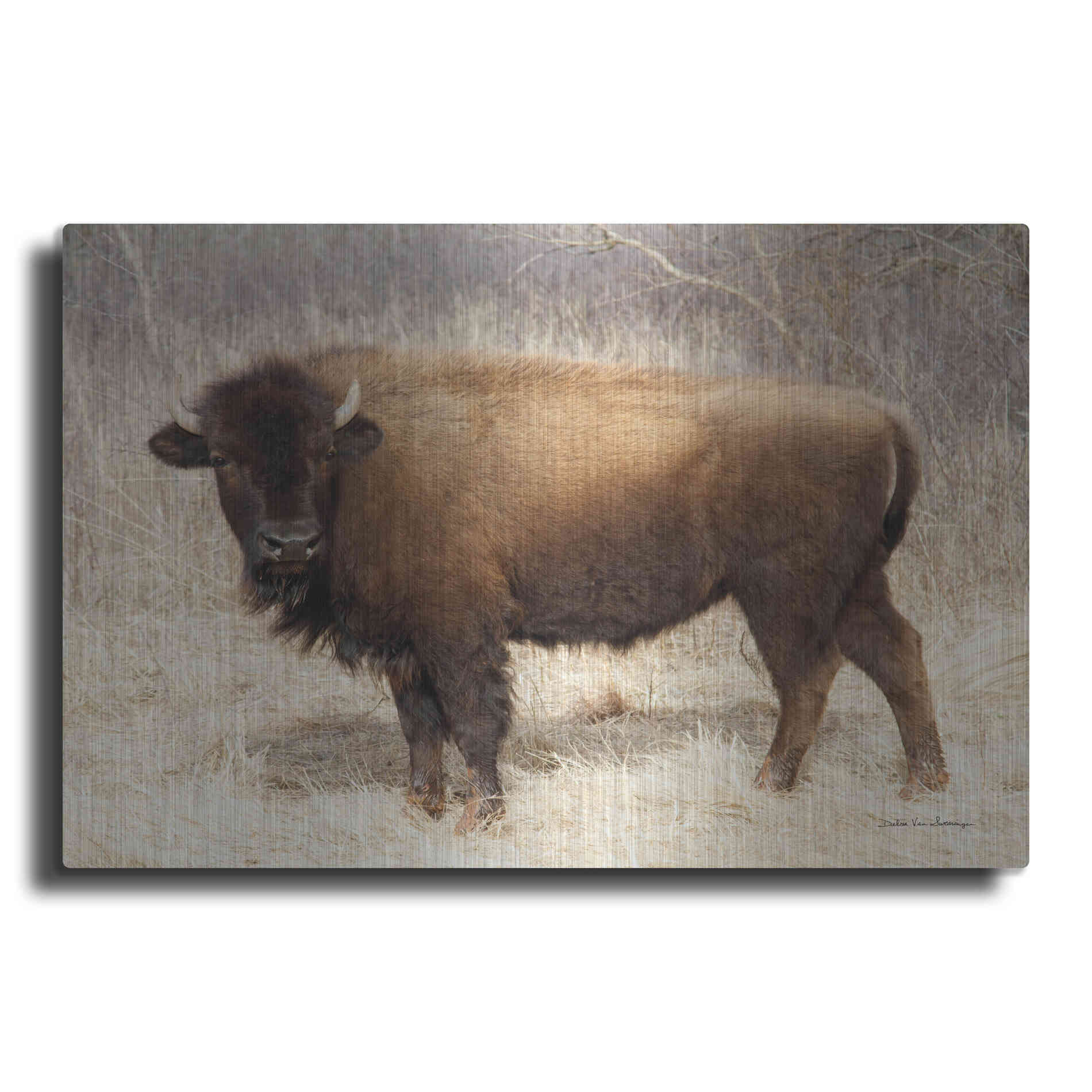 Luxe Metal Art 'American Bison I' by Debra Van Swearingen, Metal Wall Art