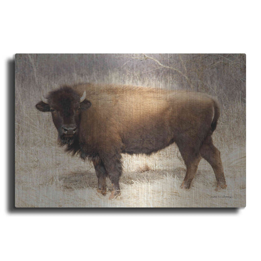 Luxe Metal Art 'American Bison I' by Debra Van Swearingen, Metal Wall Art