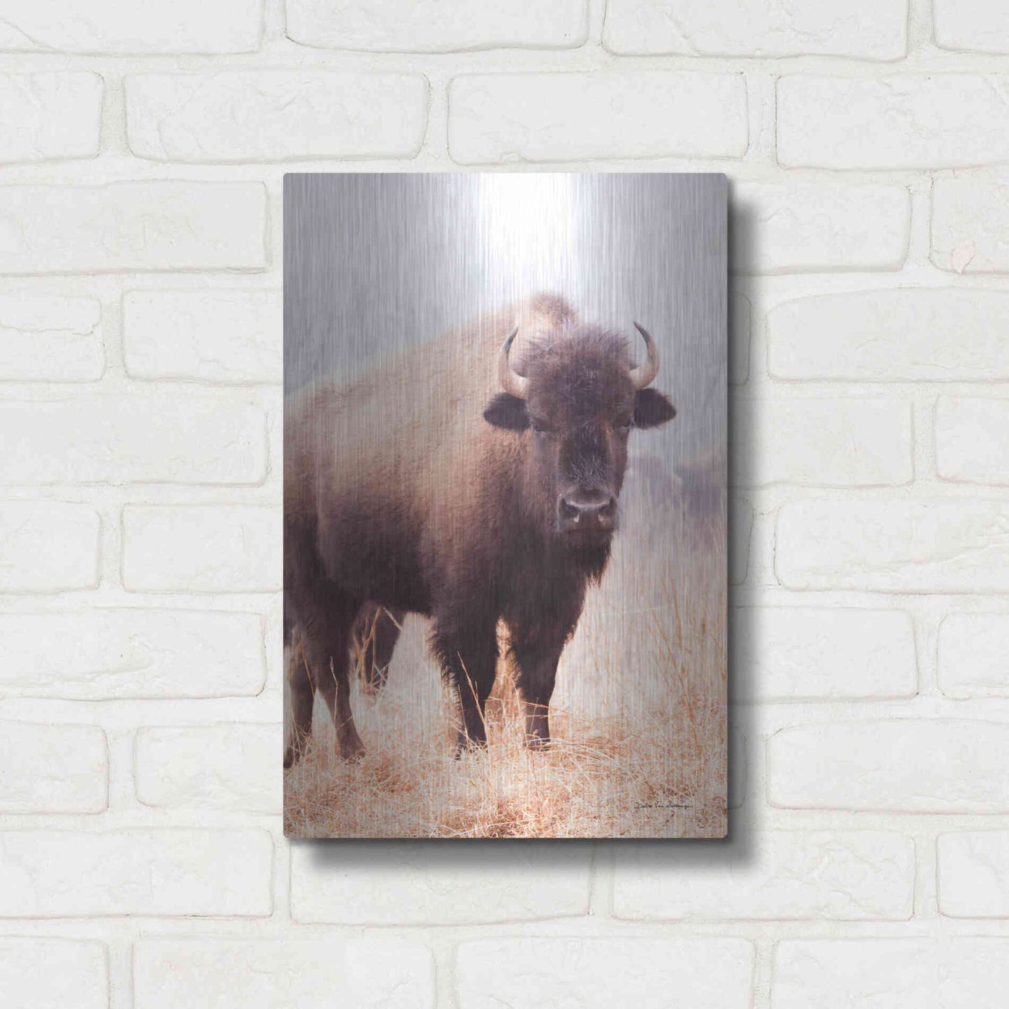 Luxe Metal Art 'American Bison V' by Debra Van Swearingen, Metal Wall Art,12x16