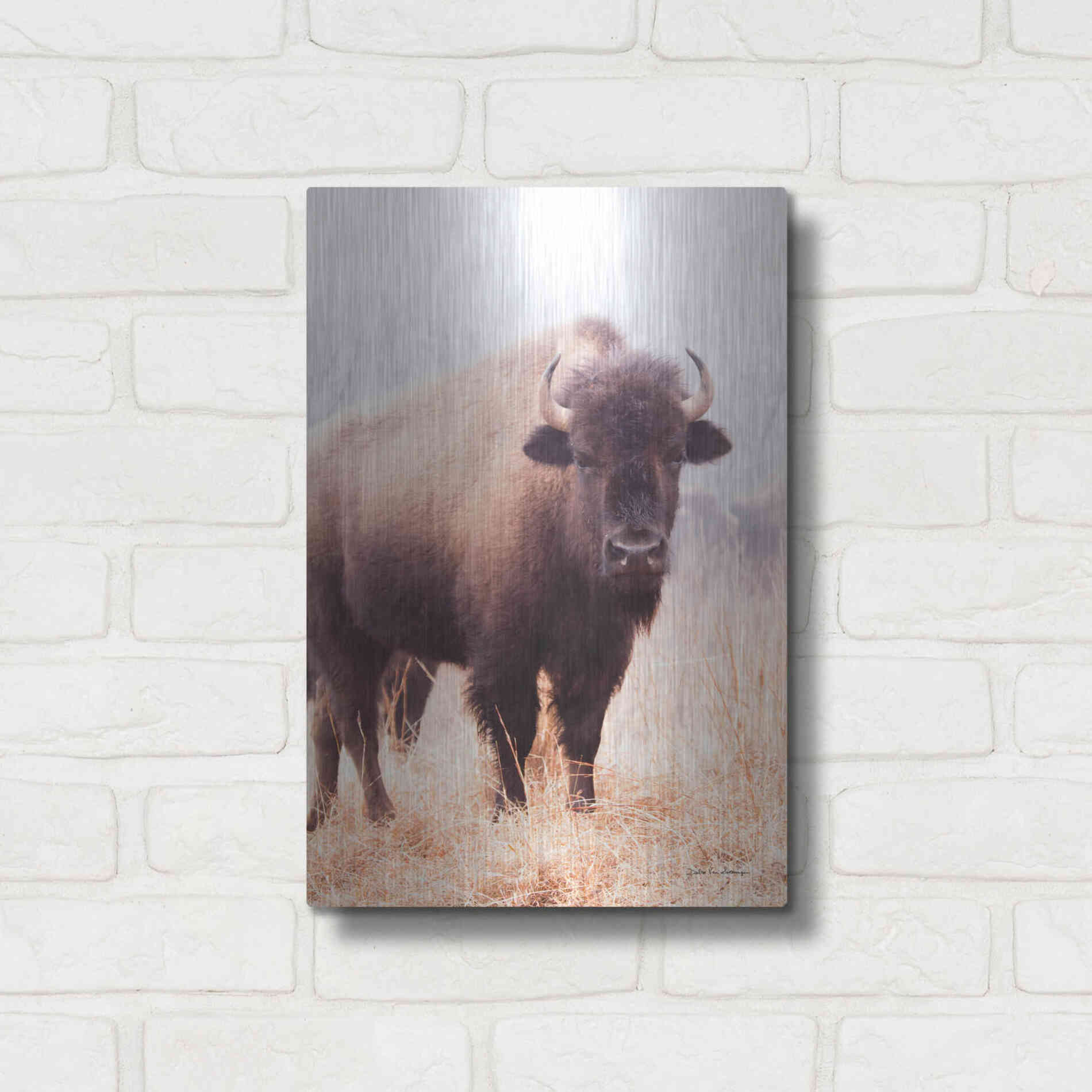 Luxe Metal Art 'American Bison V' by Debra Van Swearingen, Metal Wall Art,12x16