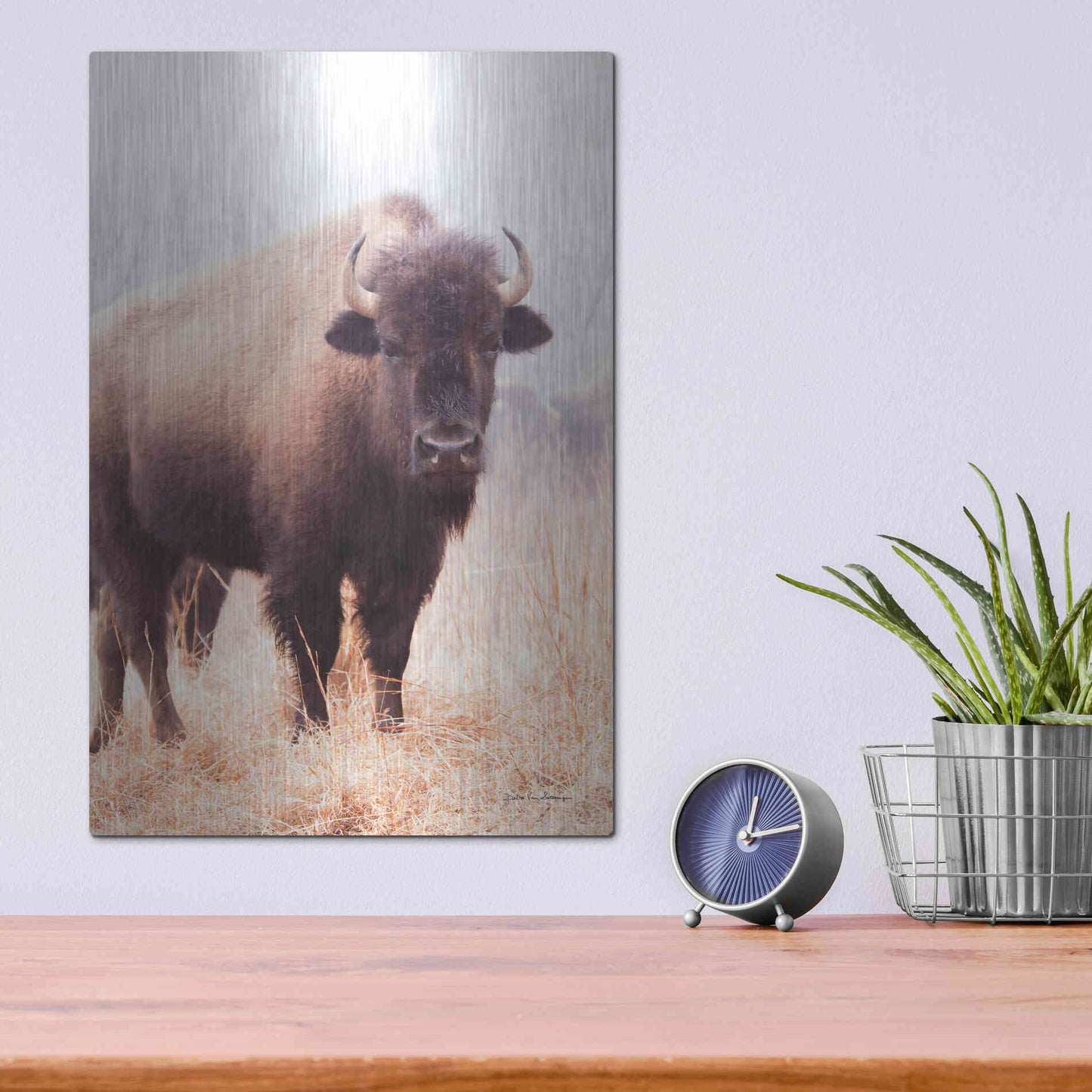 Luxe Metal Art 'American Bison V' by Debra Van Swearingen, Metal Wall Art,12x16