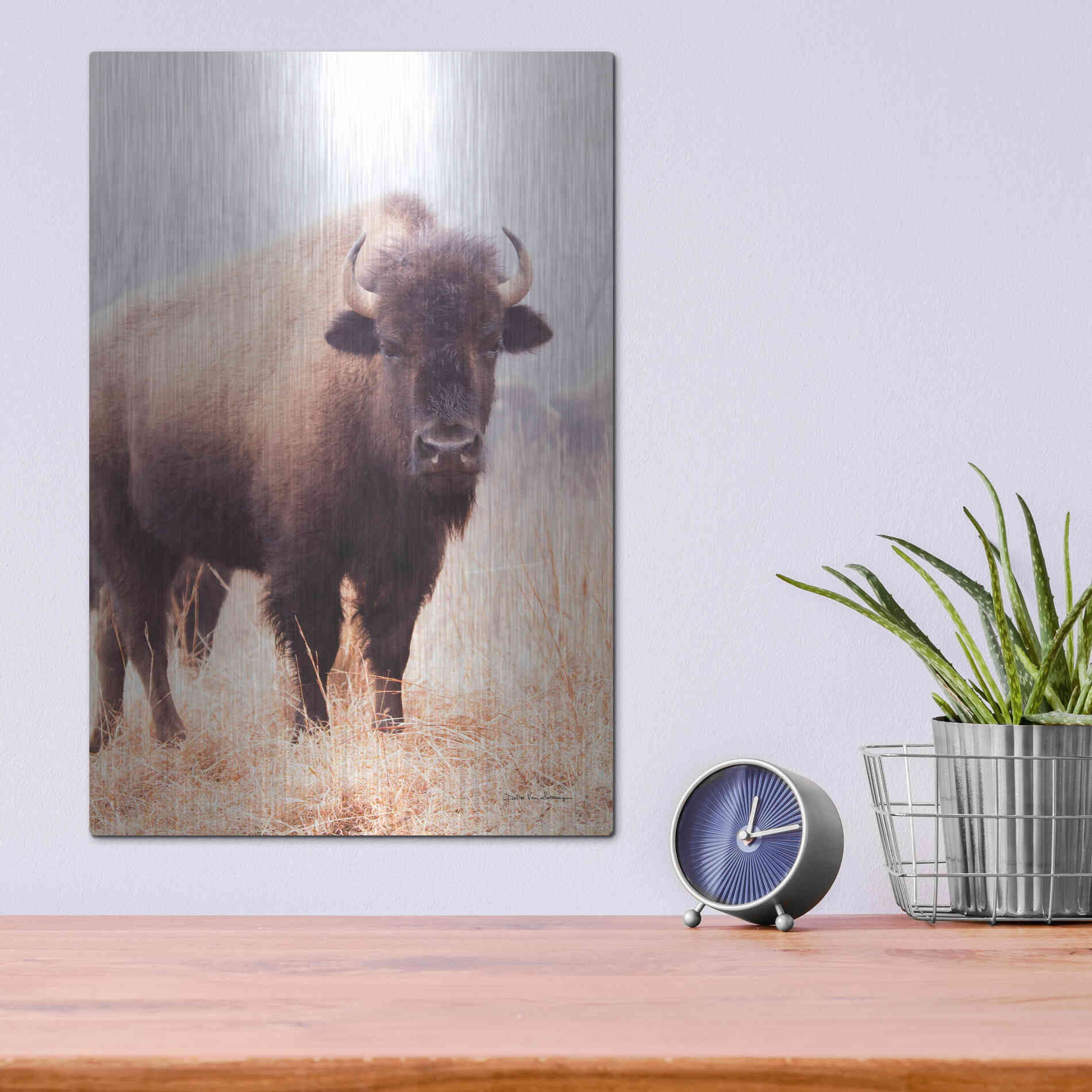Luxe Metal Art 'American Bison V' by Debra Van Swearingen, Metal Wall Art,12x16