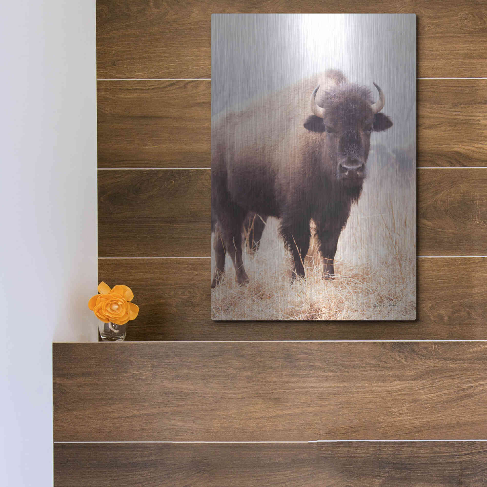 Luxe Metal Art 'American Bison V' by Debra Van Swearingen, Metal Wall Art,12x16