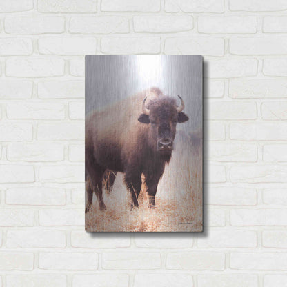 Luxe Metal Art 'American Bison V' by Debra Van Swearingen, Metal Wall Art,16x24