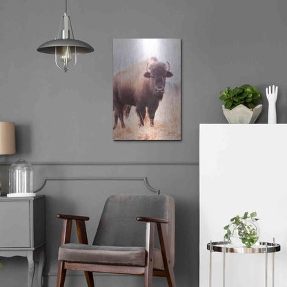 Luxe Metal Art 'American Bison V' by Debra Van Swearingen, Metal Wall Art,16x24