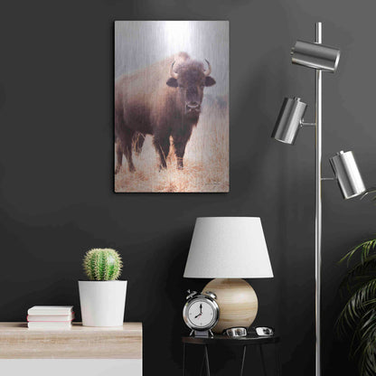 Luxe Metal Art 'American Bison V' by Debra Van Swearingen, Metal Wall Art,16x24