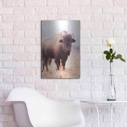 Luxe Metal Art 'American Bison V' by Debra Van Swearingen, Metal Wall Art,16x24