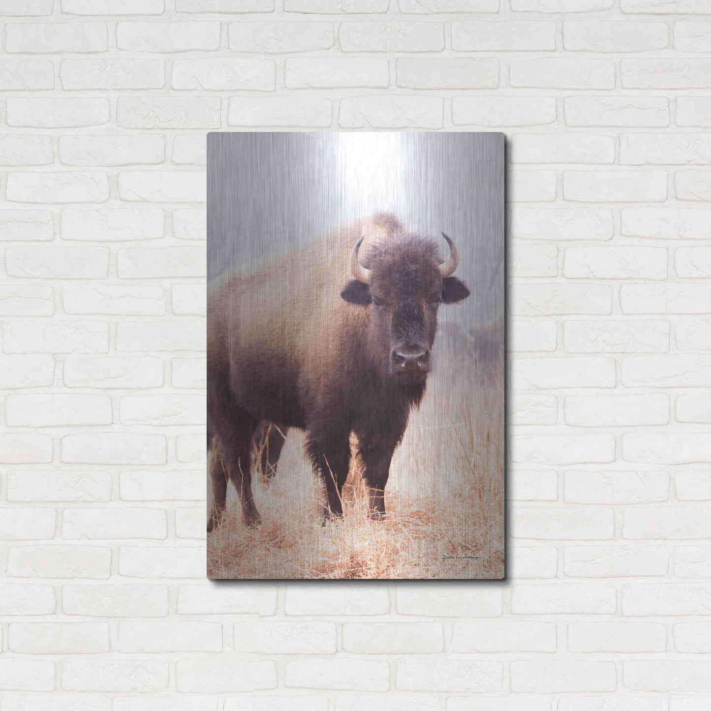 Luxe Metal Art 'American Bison V' by Debra Van Swearingen, Metal Wall Art,24x36