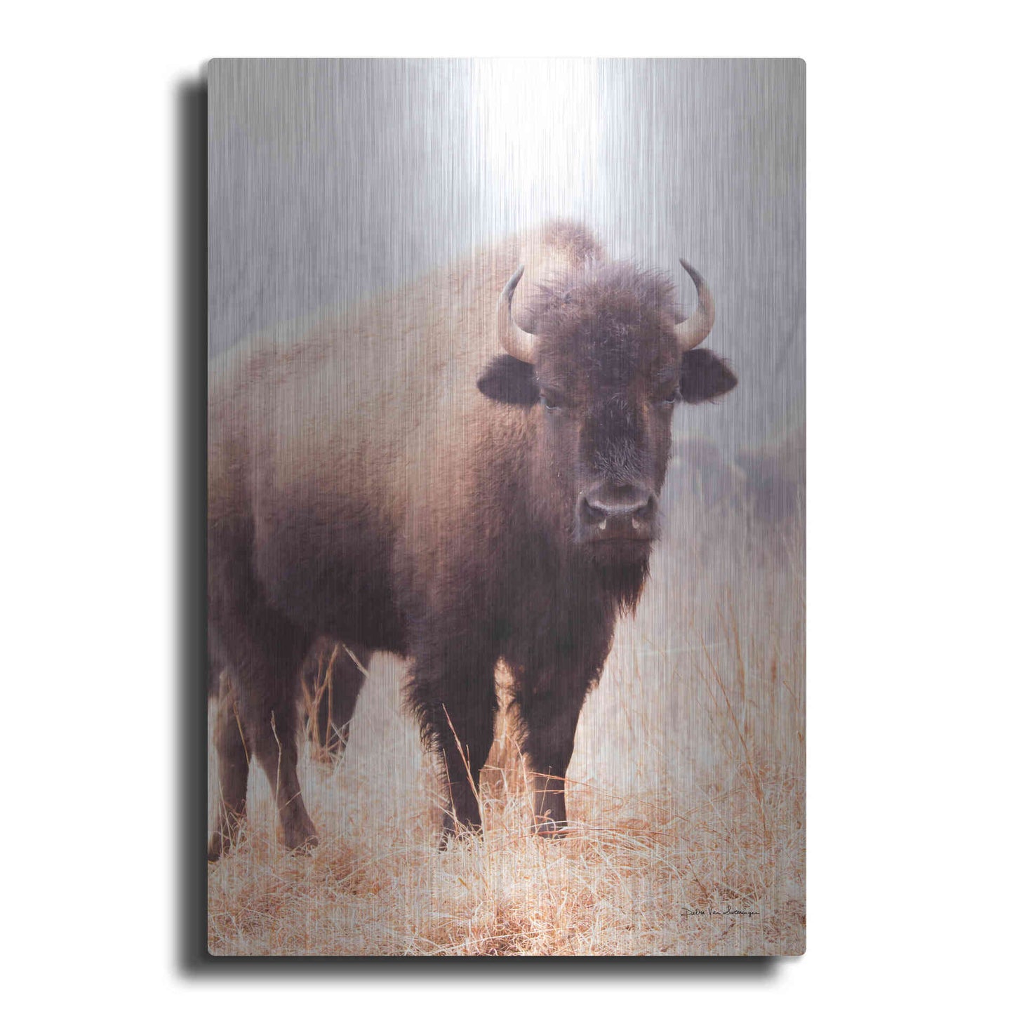 Luxe Metal Art 'American Bison V' by Debra Van Swearingen, Metal Wall Art