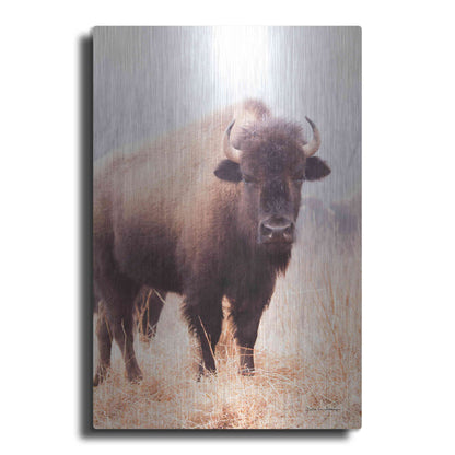 Luxe Metal Art 'American Bison V' by Debra Van Swearingen, Metal Wall Art