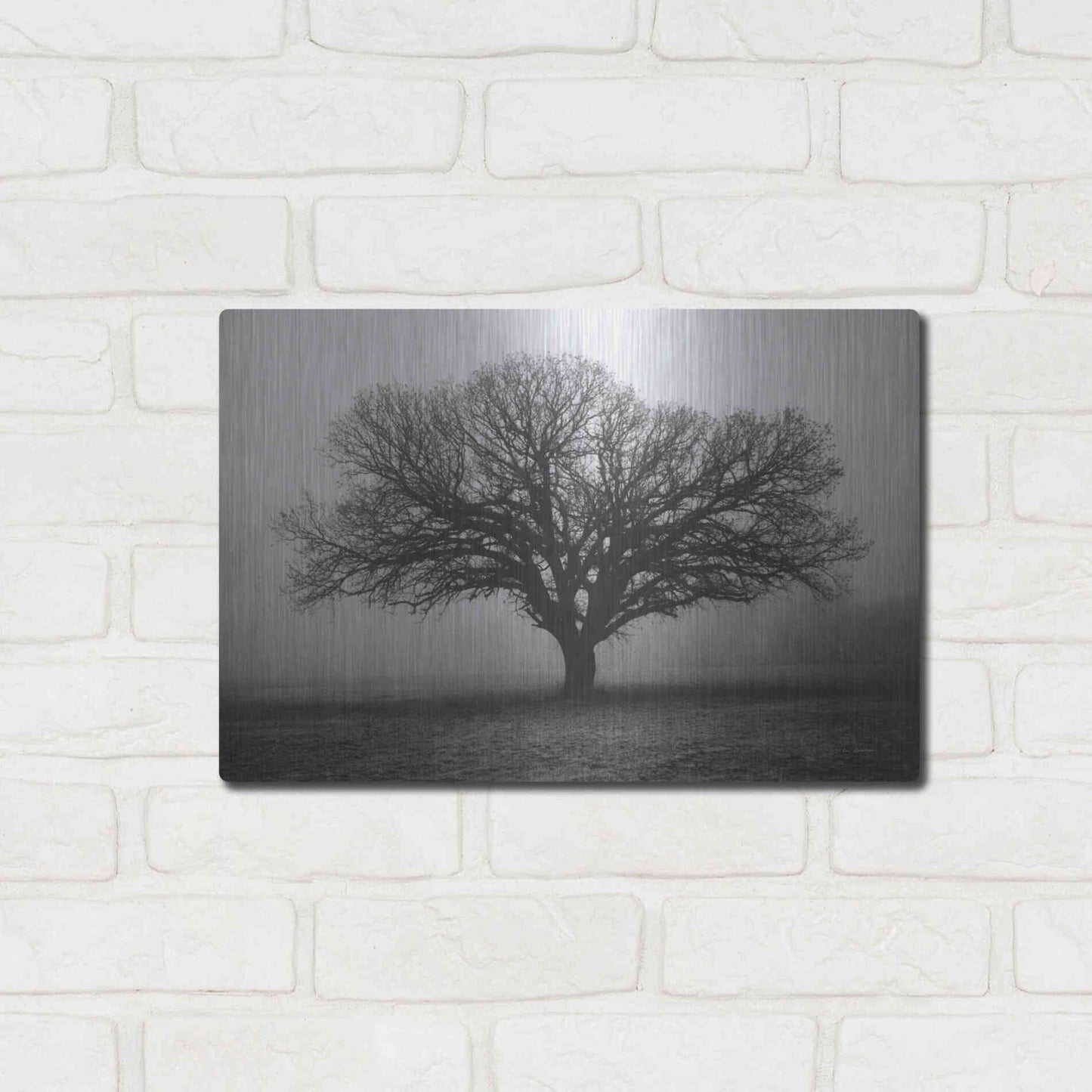 Luxe Metal Art 'Evening Mist' by Debra Van Swearingen, Metal Wall Art,16x12