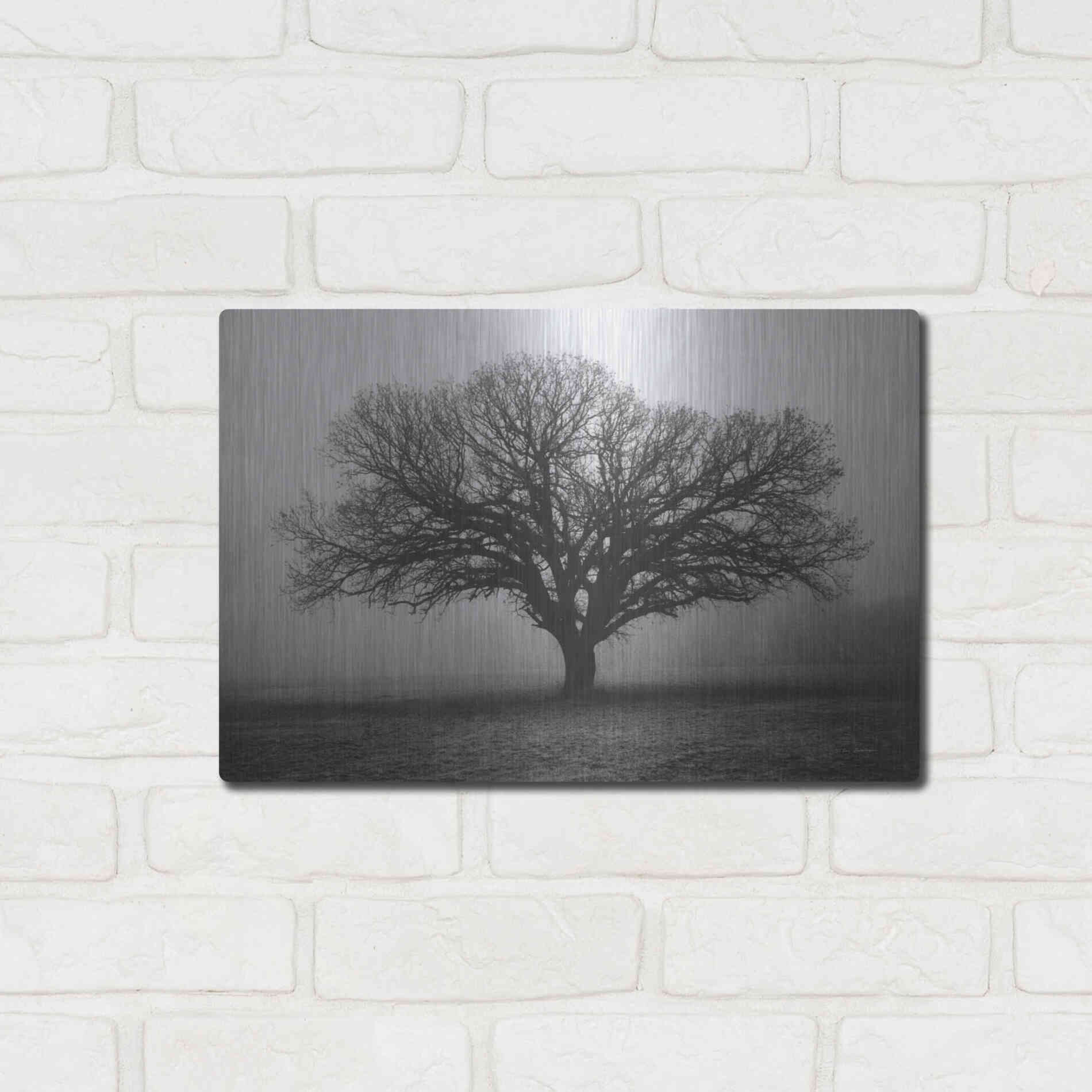 Luxe Metal Art 'Evening Mist' by Debra Van Swearingen, Metal Wall Art,16x12