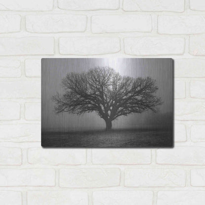 Luxe Metal Art 'Evening Mist' by Debra Van Swearingen, Metal Wall Art,16x12