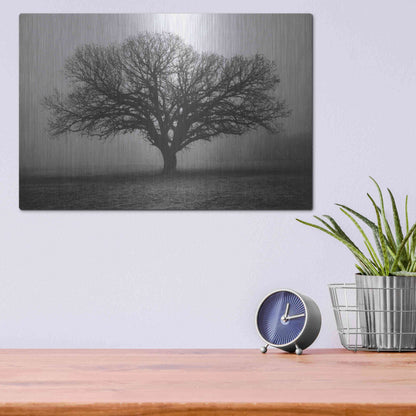 Luxe Metal Art 'Evening Mist' by Debra Van Swearingen, Metal Wall Art,16x12