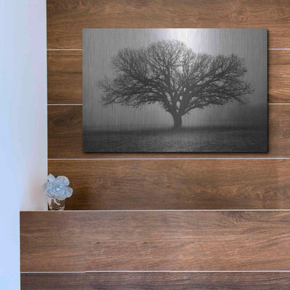 Luxe Metal Art 'Evening Mist' by Debra Van Swearingen, Metal Wall Art,16x12