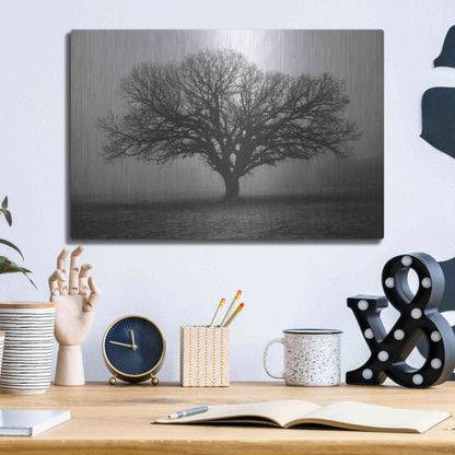 Luxe Metal Art 'Evening Mist' by Debra Van Swearingen, Metal Wall Art,16x12