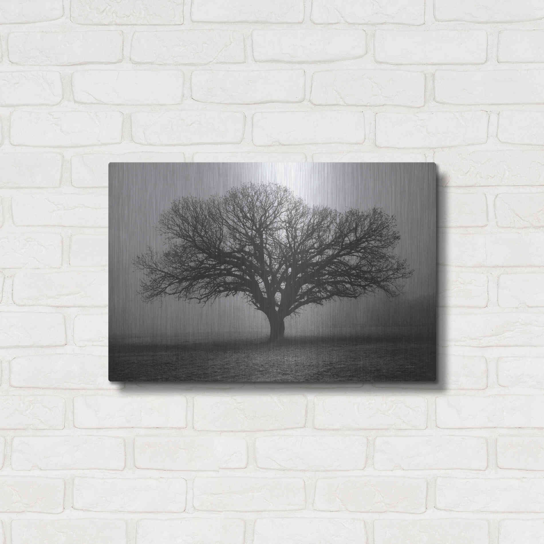 Luxe Metal Art 'Evening Mist' by Debra Van Swearingen, Metal Wall Art,24x16