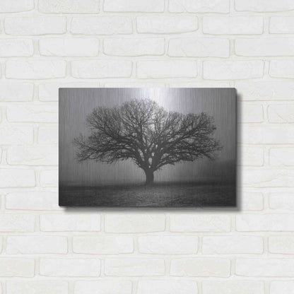 Luxe Metal Art 'Evening Mist' by Debra Van Swearingen, Metal Wall Art,24x16