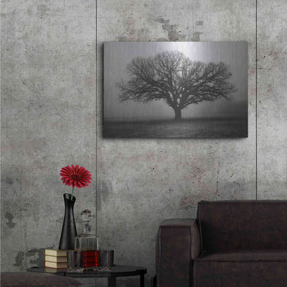 Luxe Metal Art 'Evening Mist' by Debra Van Swearingen, Metal Wall Art,36x24