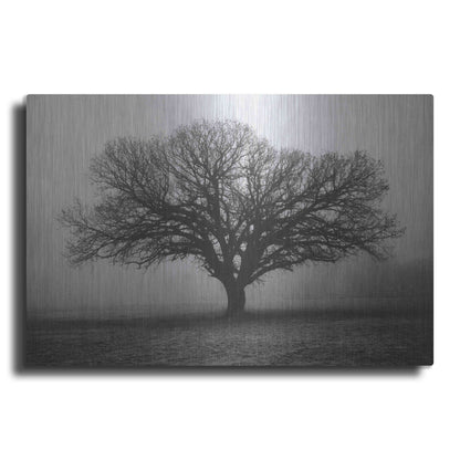 Luxe Metal Art 'Evening Mist' by Debra Van Swearingen, Metal Wall Art