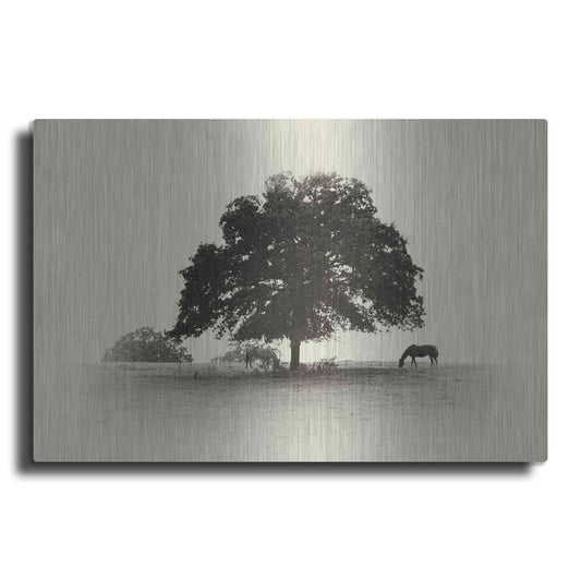 Luxe Metal Art 'Horses and Trees I' by Debra Van Swearingen, Metal Wall Art