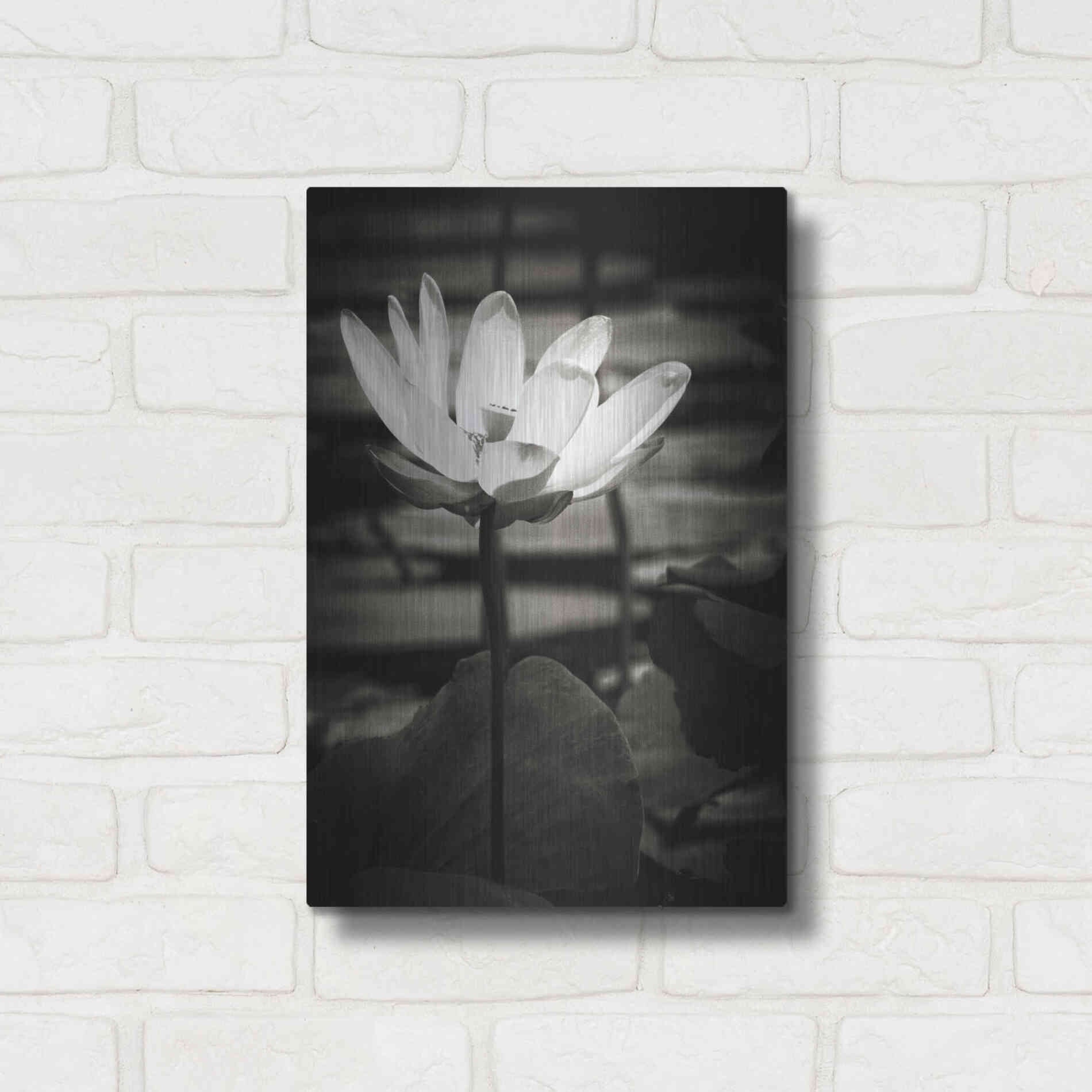 Luxe Metal Art 'Lotus Flower VIII' by Debra Van Swearingen, Metal Wall Art,12x16