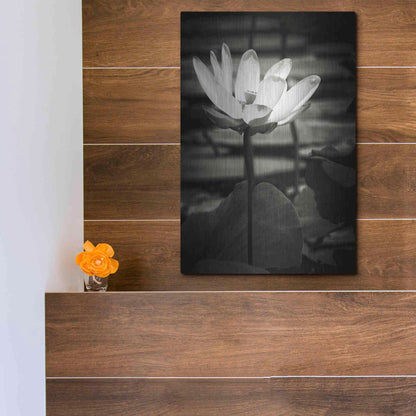 Luxe Metal Art 'Lotus Flower VIII' by Debra Van Swearingen, Metal Wall Art,12x16