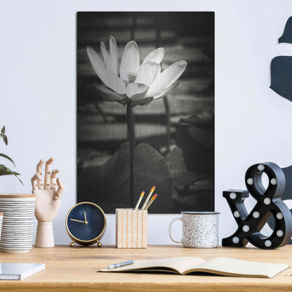 Luxe Metal Art 'Lotus Flower VIII' by Debra Van Swearingen, Metal Wall Art,12x16