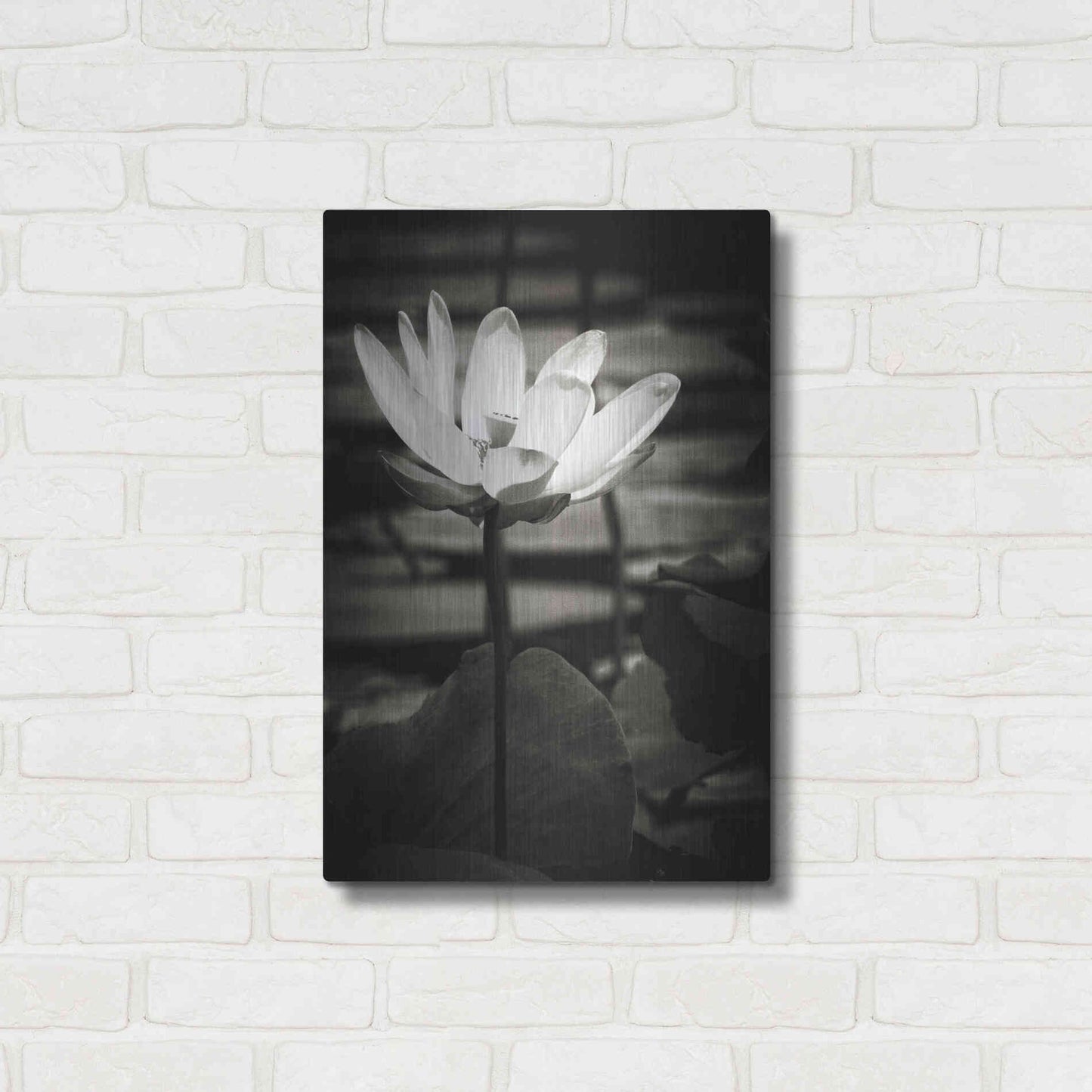 Luxe Metal Art 'Lotus Flower VIII' by Debra Van Swearingen, Metal Wall Art,16x24