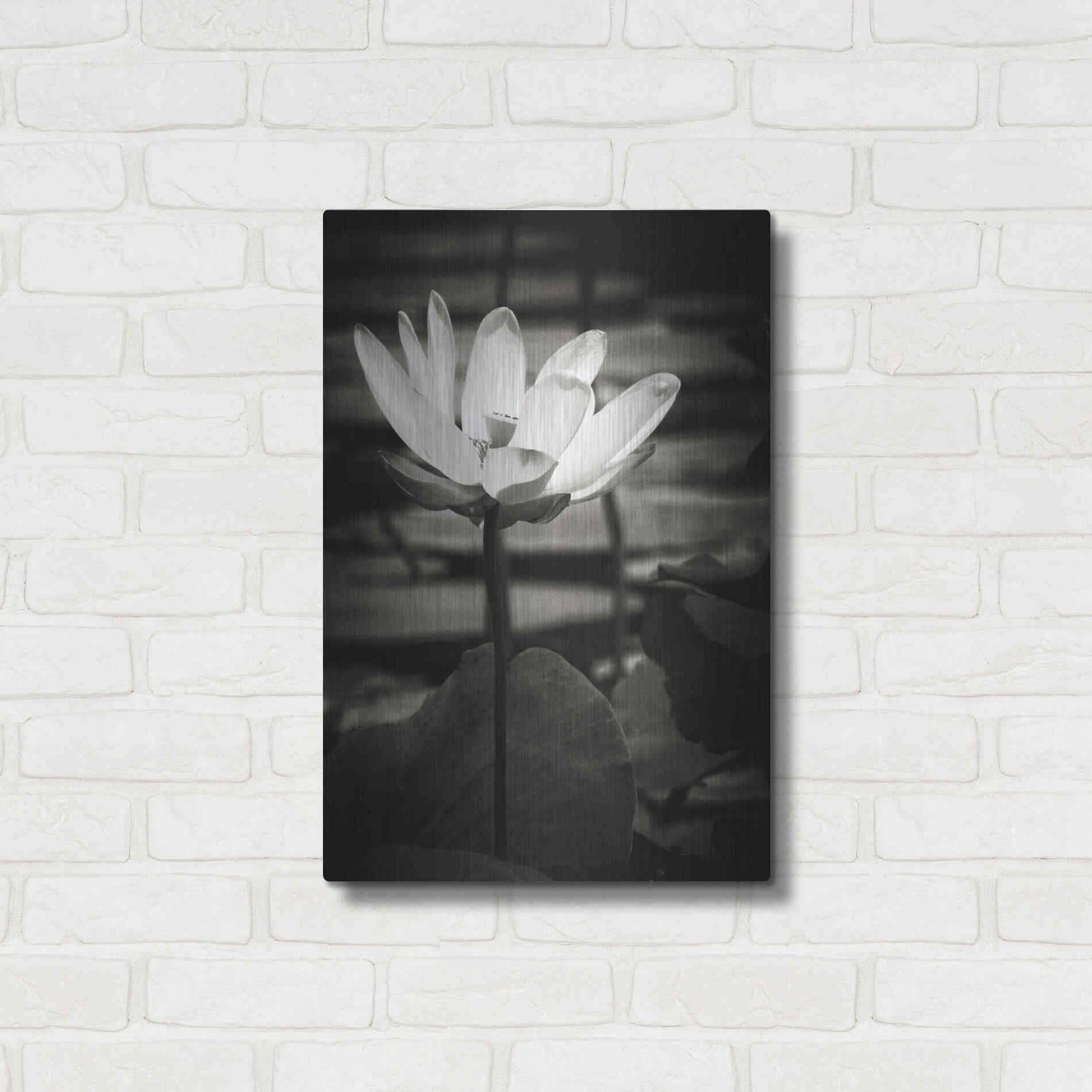 Luxe Metal Art 'Lotus Flower VIII' by Debra Van Swearingen, Metal Wall Art,16x24