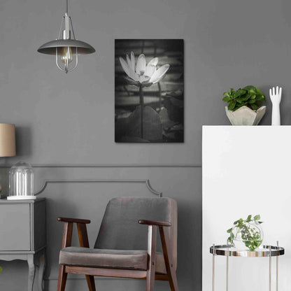 Luxe Metal Art 'Lotus Flower VIII' by Debra Van Swearingen, Metal Wall Art,16x24