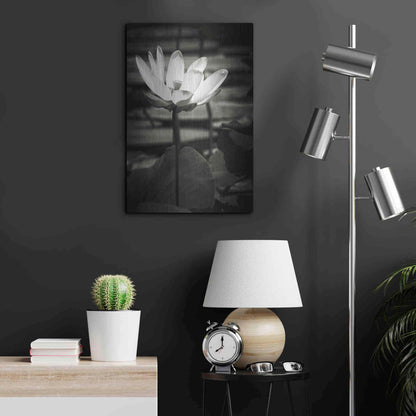 Luxe Metal Art 'Lotus Flower VIII' by Debra Van Swearingen, Metal Wall Art,16x24