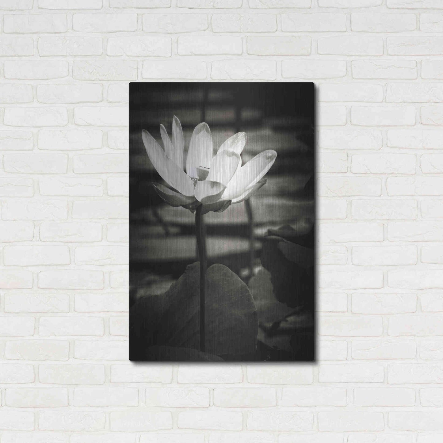 Luxe Metal Art 'Lotus Flower VIII' by Debra Van Swearingen, Metal Wall Art,24x36