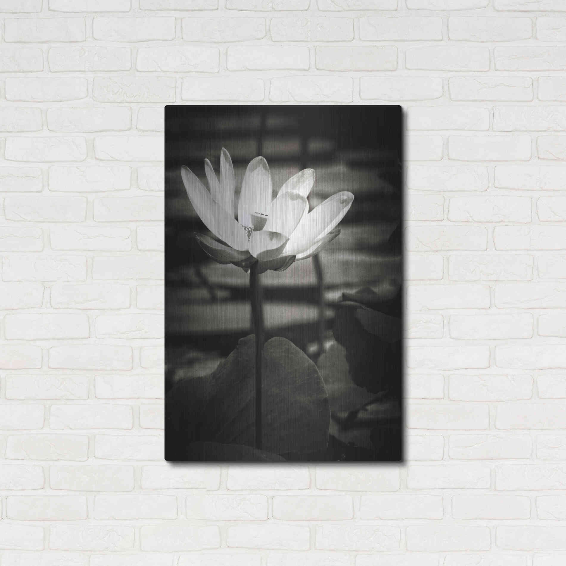 Luxe Metal Art 'Lotus Flower VIII' by Debra Van Swearingen, Metal Wall Art,24x36