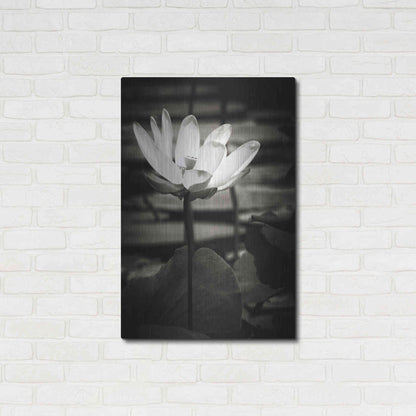Luxe Metal Art 'Lotus Flower VIII' by Debra Van Swearingen, Metal Wall Art,24x36