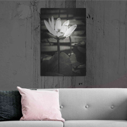 Luxe Metal Art 'Lotus Flower VIII' by Debra Van Swearingen, Metal Wall Art,24x36