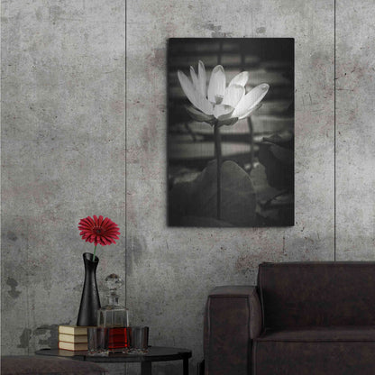 Luxe Metal Art 'Lotus Flower VIII' by Debra Van Swearingen, Metal Wall Art,24x36
