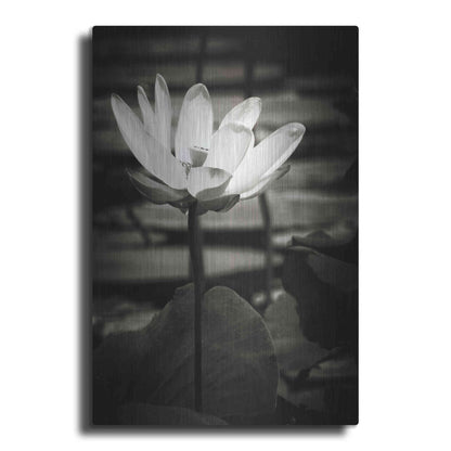 Luxe Metal Art 'Lotus Flower VIII' by Debra Van Swearingen, Metal Wall Art