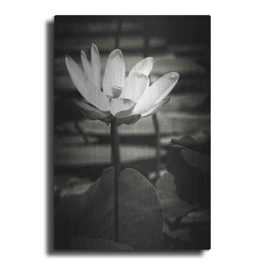 Luxe Metal Art 'Lotus Flower VIII' by Debra Van Swearingen, Metal Wall Art