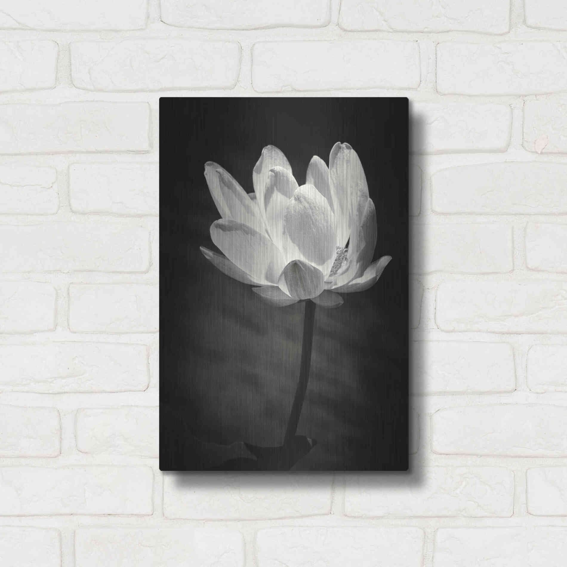 Luxe Metal Art 'Lotus Flower X' by Debra Van Swearingen, Metal Wall Art,12x16
