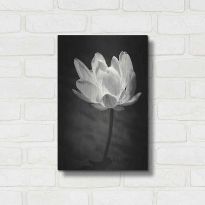 Luxe Metal Art 'Lotus Flower X' by Debra Van Swearingen, Metal Wall Art,12x16