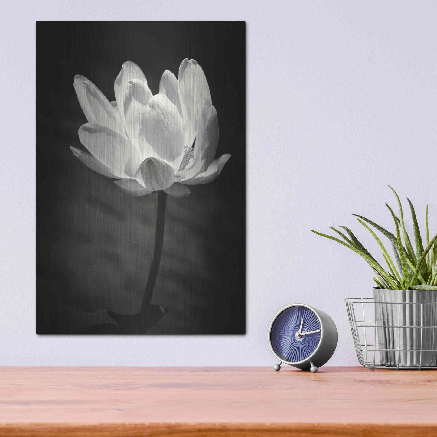 Luxe Metal Art 'Lotus Flower X' by Debra Van Swearingen, Metal Wall Art,12x16