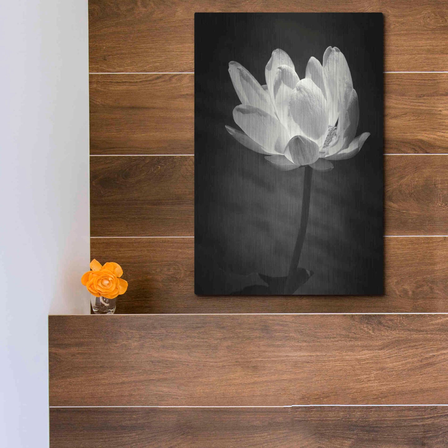 Luxe Metal Art 'Lotus Flower X' by Debra Van Swearingen, Metal Wall Art,12x16