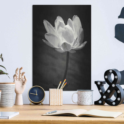 Luxe Metal Art 'Lotus Flower X' by Debra Van Swearingen, Metal Wall Art,12x16