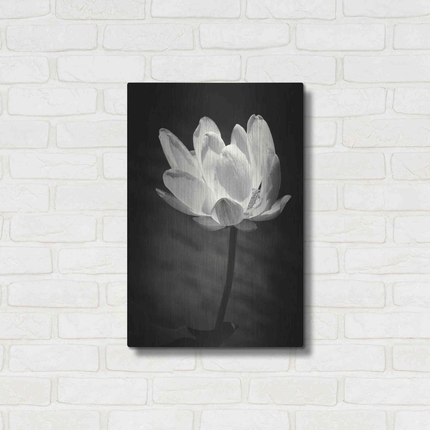 Luxe Metal Art 'Lotus Flower X' by Debra Van Swearingen, Metal Wall Art,16x24