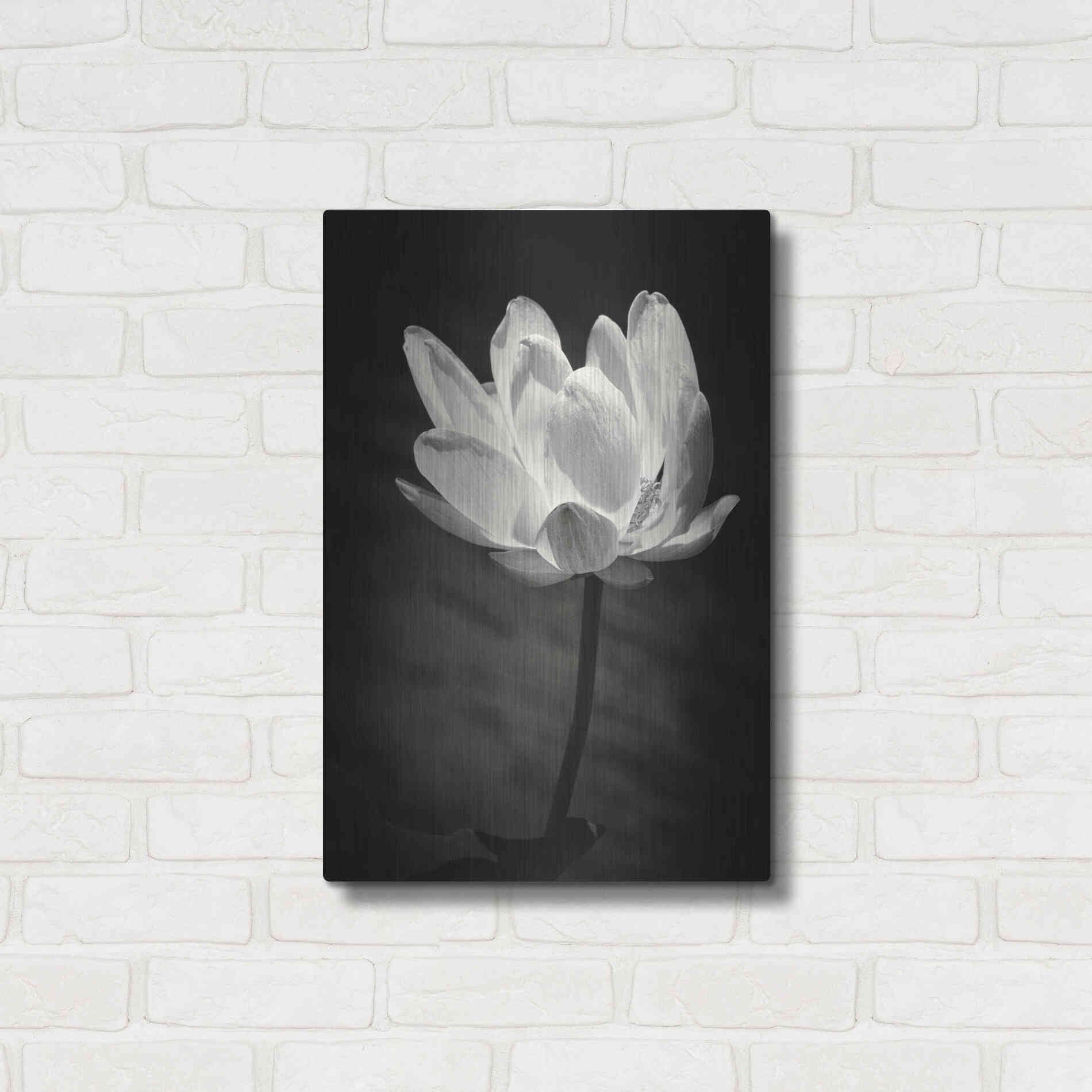 Luxe Metal Art 'Lotus Flower X' by Debra Van Swearingen, Metal Wall Art,16x24
