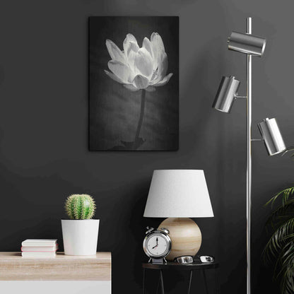 Luxe Metal Art 'Lotus Flower X' by Debra Van Swearingen, Metal Wall Art,16x24