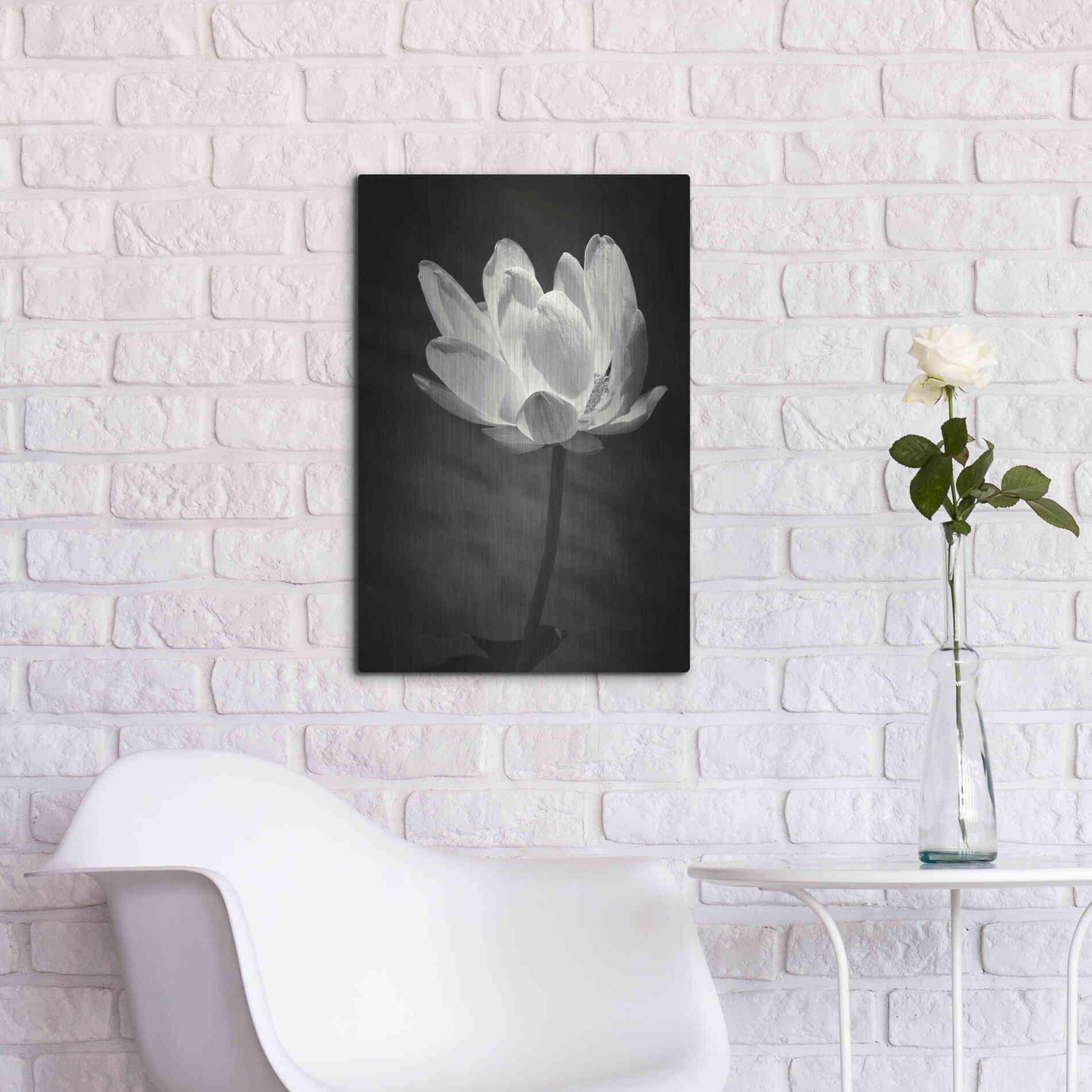 Luxe Metal Art 'Lotus Flower X' by Debra Van Swearingen, Metal Wall Art,16x24