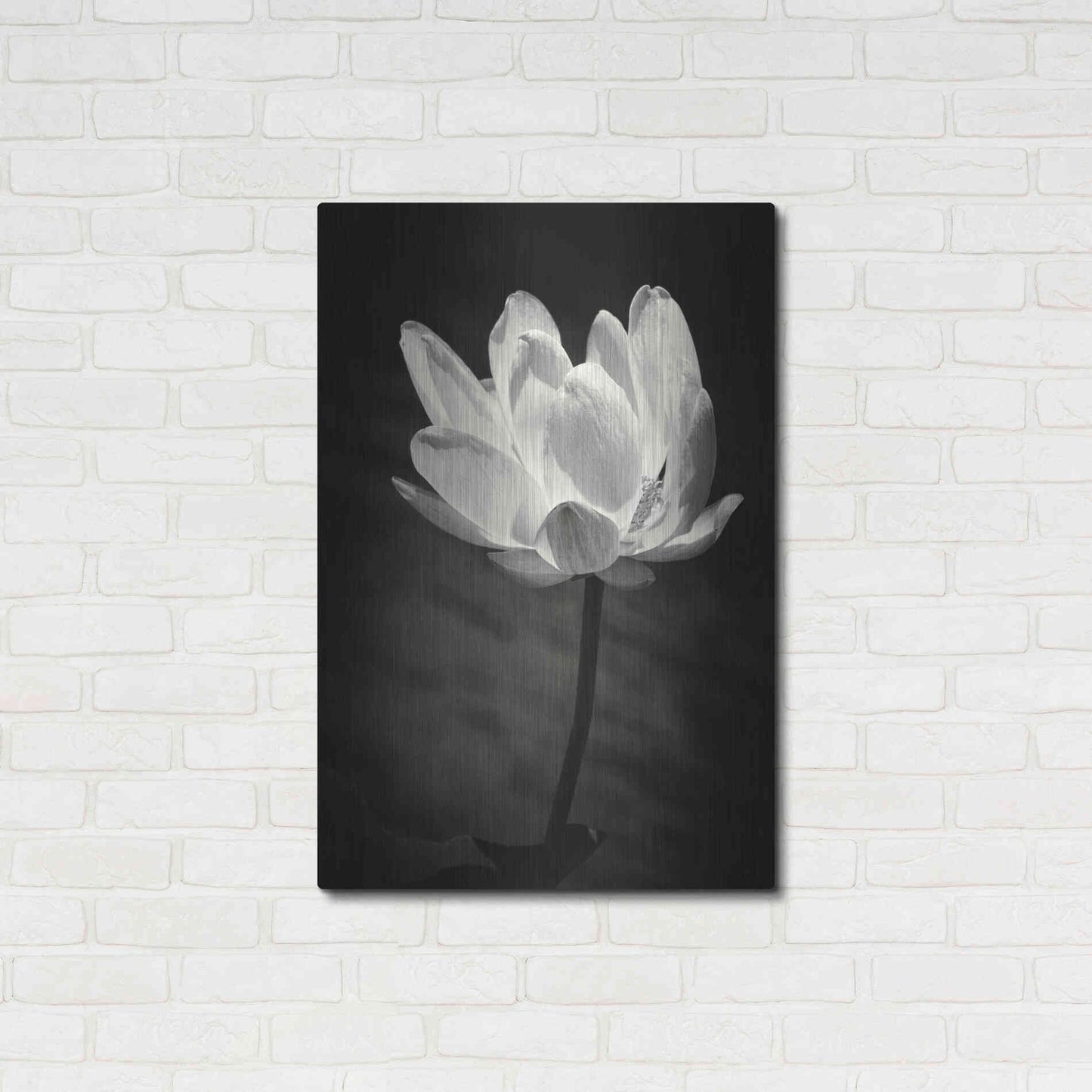 Luxe Metal Art 'Lotus Flower X' by Debra Van Swearingen, Metal Wall Art,24x36
