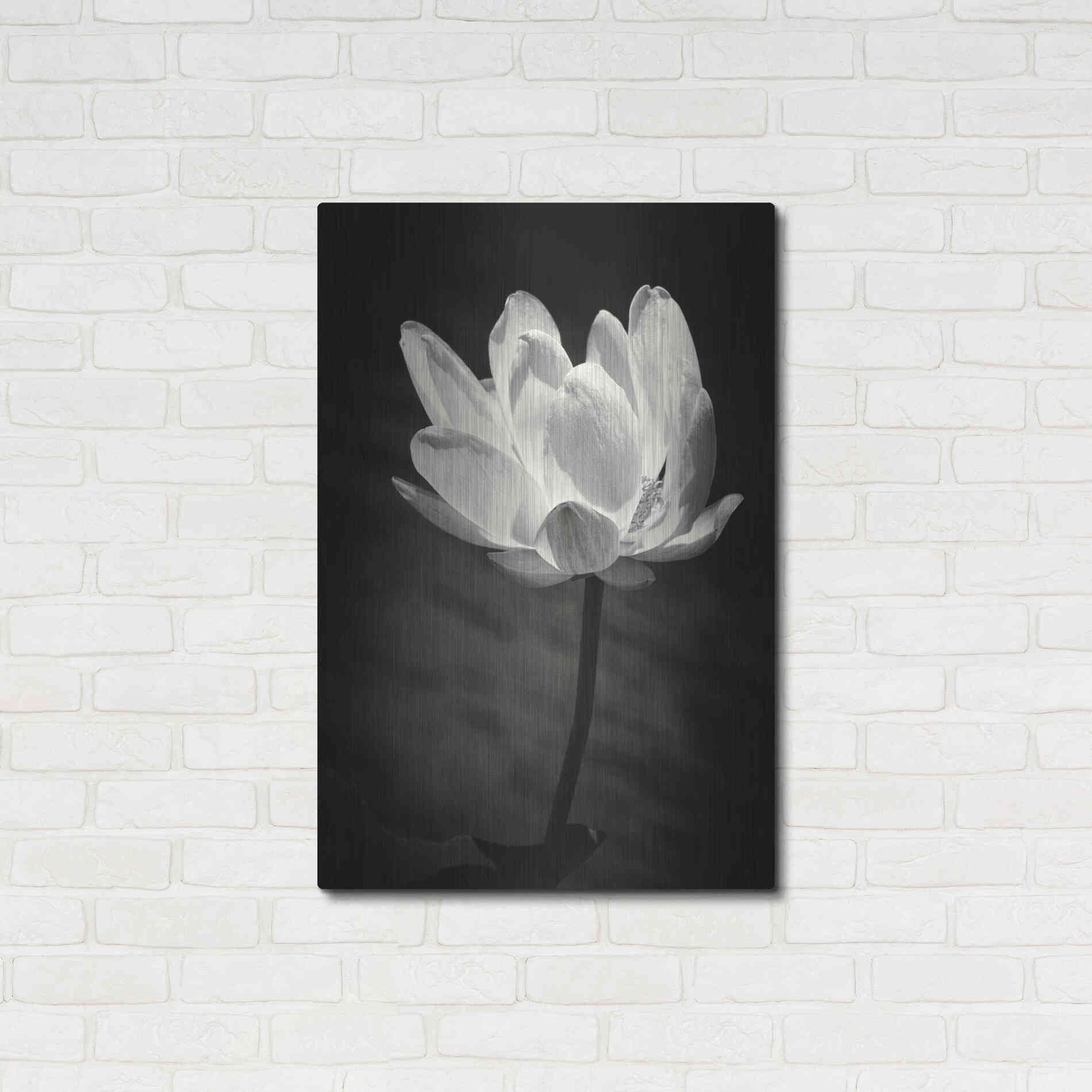 Luxe Metal Art 'Lotus Flower X' by Debra Van Swearingen, Metal Wall Art,24x36